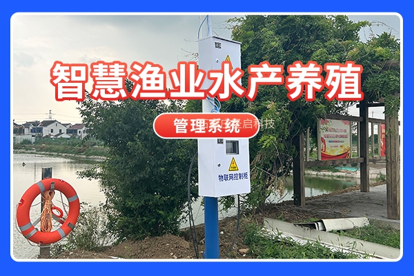 渔民变 “码农”！指尖点 APP 管万亩塘，智慧养殖让老渔民赶上 “数字潮
